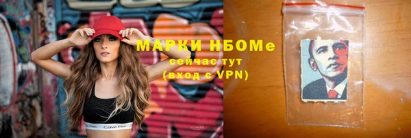 индика Тында
