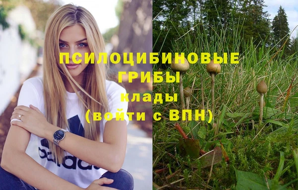 spice Белокуриха