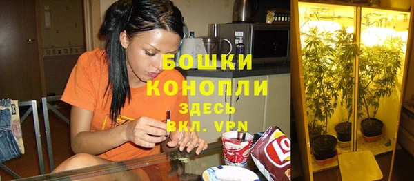 spice Белокуриха