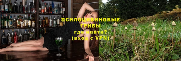 spice Белокуриха