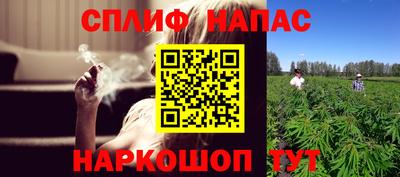дмт Гай