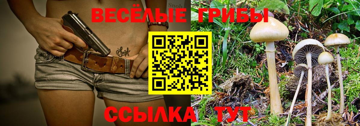 Верхний Уфалей  Галлюциногенные грибы ЛСД  наркотики  Вход с VPN 