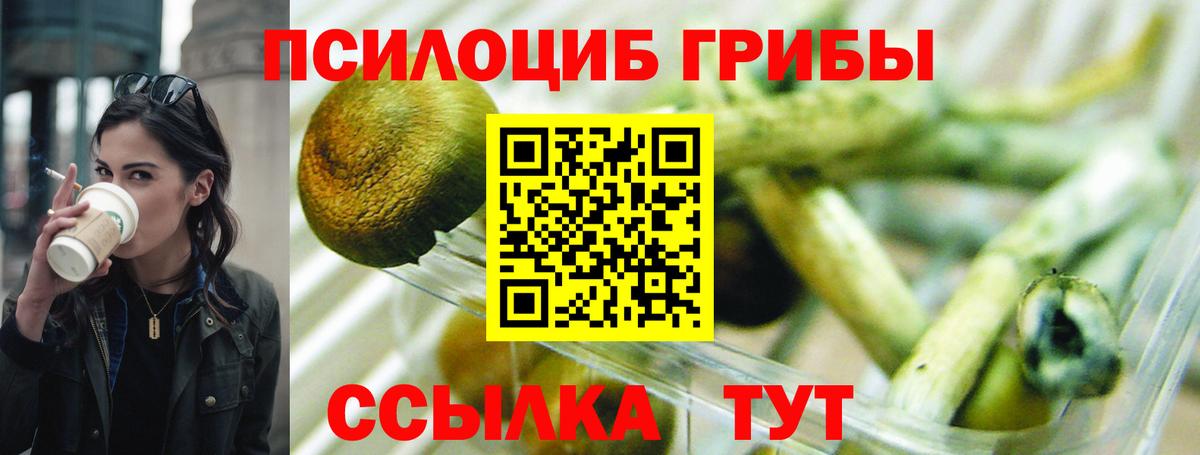 Галлюциногенные грибы мицелий Верхний Уфалей